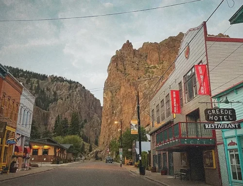 Full schedule for the free Go West Film Festival 2026