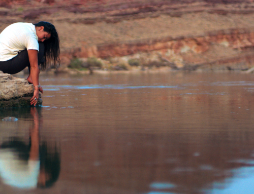 ‘The River’ explores the human side of water